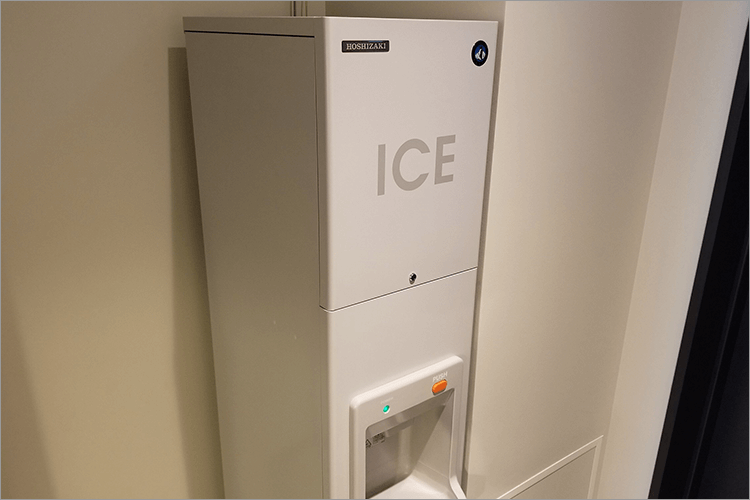 Ice maker