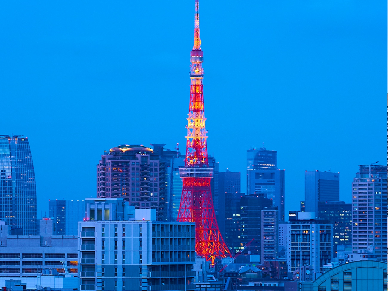 View/ TOKYO TOWER