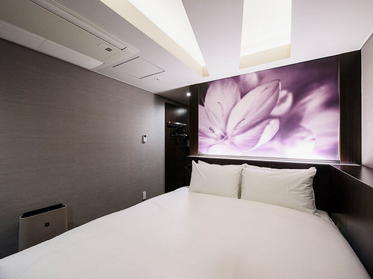 Standard Double room with shower only (non-smoking/smoking)