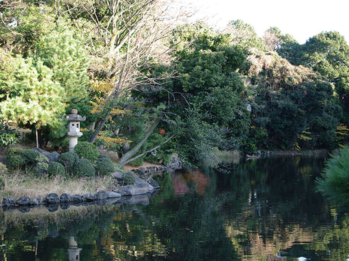 Shinjuku Gyoen National Garden
