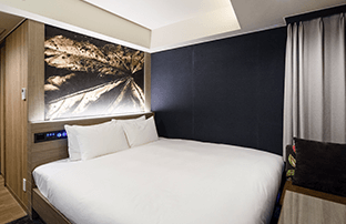 Superior Double (Non-smoking)