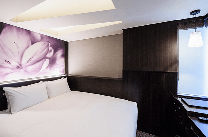 Standard Double room with shower only (non-smoking/smoking)