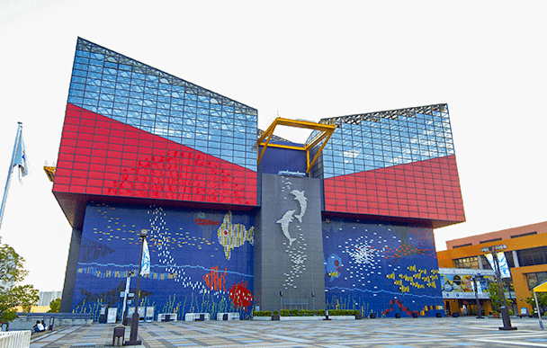 Osaka Aquarium Kaiyukan 1
